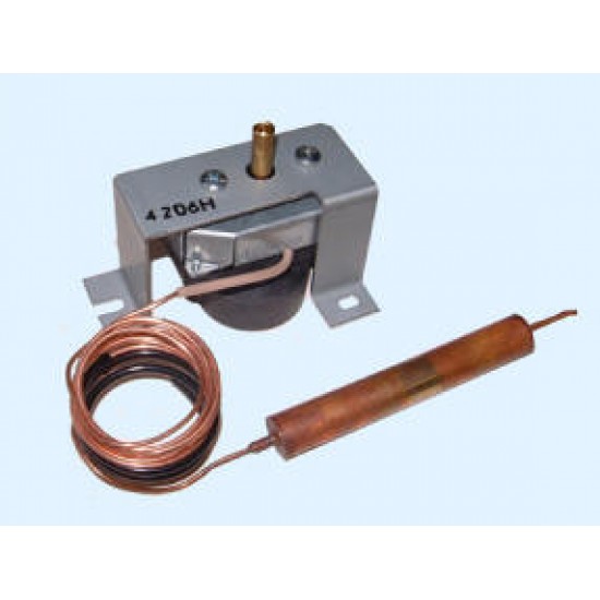 AUTO INPUT THERMOSTAT 6500059