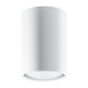 Ceiling lamp LAGOS 10 white