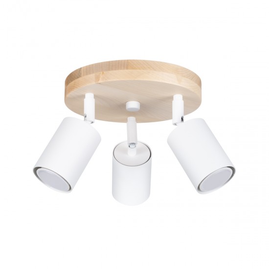 Ceiling lamp VERDO 3P white