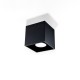 Ceiling lamp MONO 2 black