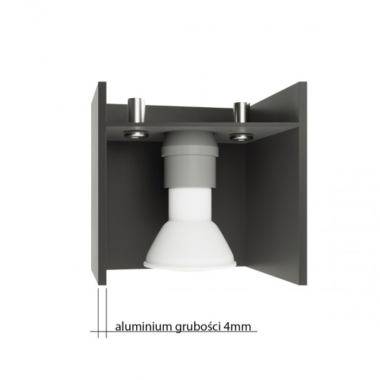 Ceiling lamp RING 2 black Ceiling lamp RING 2 black