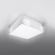 Ceiling lamp HORUS 35 white