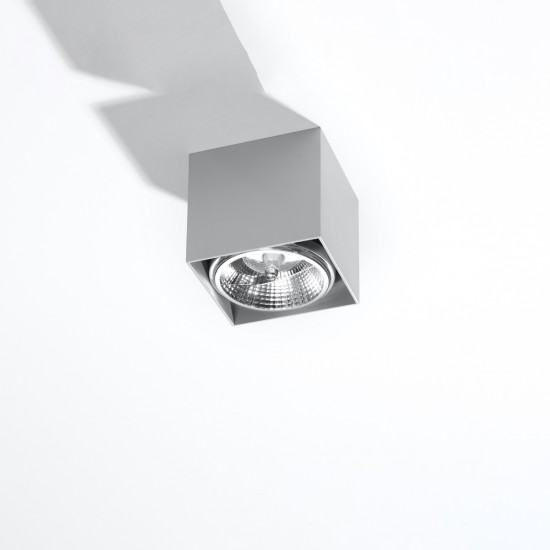 Ceiling lamp BLAKE grey