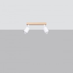 Ceiling lamp VERDO 2 white