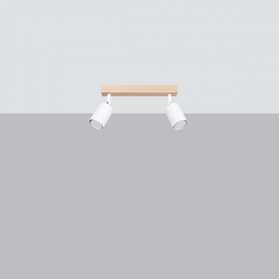 Ceiling lamp VERDO 2 white