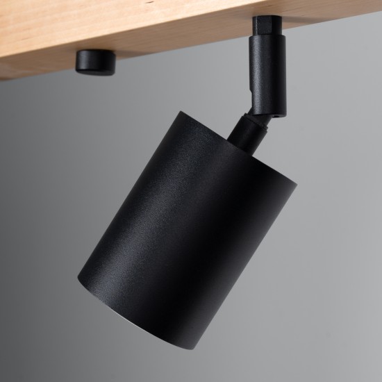 Ceiling lamp VERDO 4 black